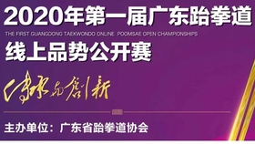 2025新澳门天天开奖直播视频，全面释义与解释落实